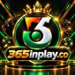 365in play
